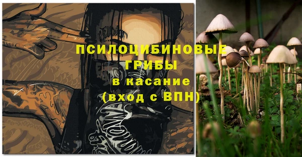 твердый Зеленодольск