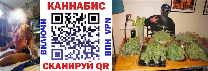 Шишки марихуана планчик Нерехта
